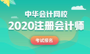 广西2020年注册会计师报名入口