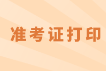 北京2020年中级经济师准考证打印