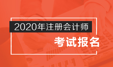2020年广西南宁注会报名时间