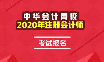 2020年注册会计师考试报名费用