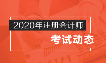 宁夏2020年CPA考试打印准考证时间已经公布