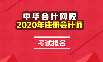 西藏2020年注册会计师报名时间及报名条件