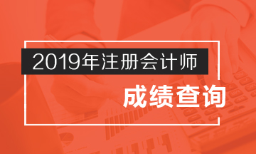 湖南2019年注册会计师成绩查询已经公布