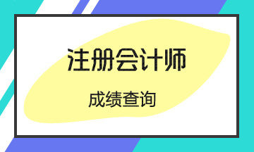 陕西2020注会考试成绩查询时间