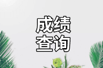 成绩查询