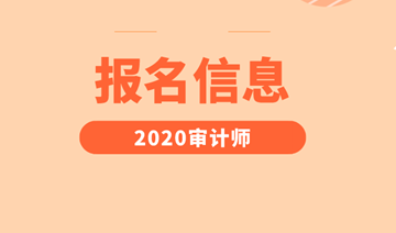 初级审计师报名信息