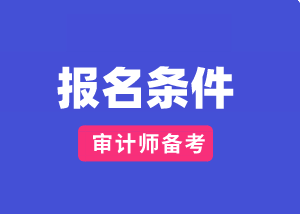 审计师报名条件