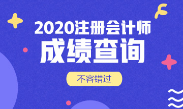 2020年淄博cpa考试成绩查询时间