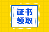 2019年新疆兵团初级经济师合格证在哪领取？