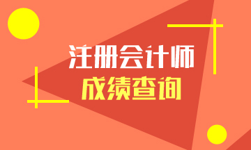 贵州注册会计师考试2020年成绩查询入口