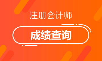 湖南株洲2020年注册会计师考试成绩查询时间你清楚吗！