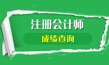 2020年山东潍坊注册会计师考试成绩查询时间