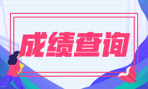 2020中级经济师成绩查询