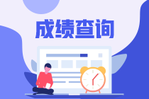 高级经济师成绩查询网址