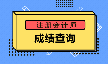 2020年四川CPA成绩查询时间定了吗？