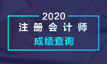 2020年柳州CPA成绩查询时间