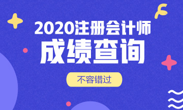 什么时候公布深圳2020年注册会计师成绩查询时间？