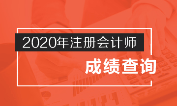 2020年广州注会考试成绩查询时间