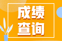 河南省会计初级成绩查询入口2020年具体是哪个啊？