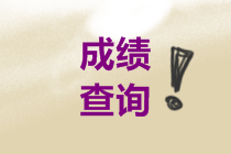 2020河北会计中级成绩查询入口官网