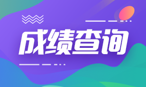 什么时候公布广东2020年中级会计师成绩查询时间？