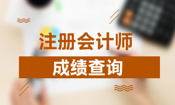 2020年江西CPA成绩查询时间