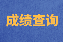 上海2020年资产评估师考试成绩查询流程确定了吗？