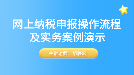 网上纳税申报操作流程及实务案例演示