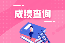 天津2020年资产评估师考试成绩查询入口开通了吗？