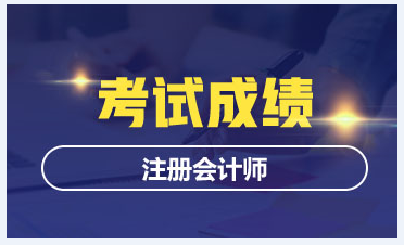 广州2020年CPA成绩查询时间