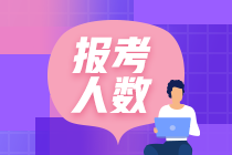 报考人数