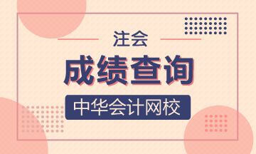 2020年黑龙江哈尔滨注册会计师考试成绩查询时间
