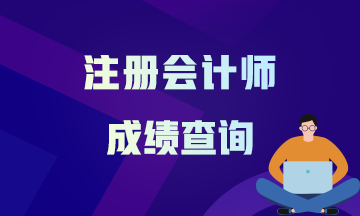 江苏2020年CPA考试成绩查询时间公布了吗？