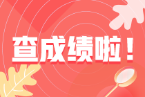 税务师成绩查询