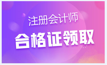 江西2020年CPA专业阶段合格证下载完成了吗？