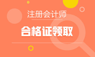 湖北武汉2020年cpa专业阶段合格证可以下载啦！