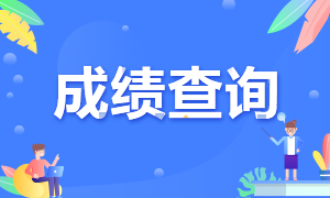 黑龙江省2020注册会计师考试成绩查询
