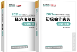 网校初级会计职称【应试指南】是讲义吗？可不可以代替教材？