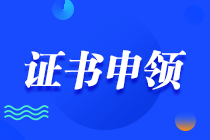 税务师证书申领