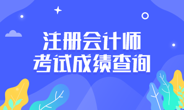 上海2020年注册会计师成绩查询注意事项请关注！