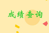 内蒙古2021中级会计成绩查询