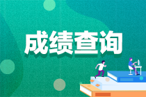 2021高级经济师成绩查询