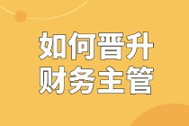 如何从一个小白会计晋升财务主管？