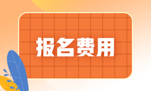 湖南株洲2022年初级会计考试报名费用是多少呢？