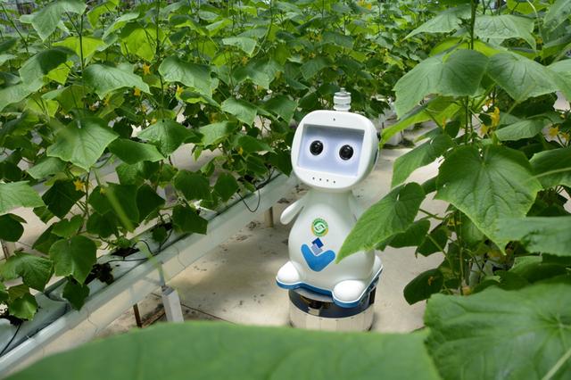 除草、施肥、采摘、搬运机器人，“未来农场”正成为现实。