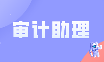 审计助理做什么？需要满足什么条件？