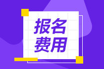 你知道广东汕尾2022年初级会计职称的报名费吗？