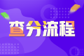 2021年审计师考试成绩查询流程