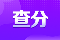 2021年审计师考试成绩查询入口已开通 来查分>