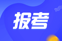 考税务师需要什么学历才可以报考